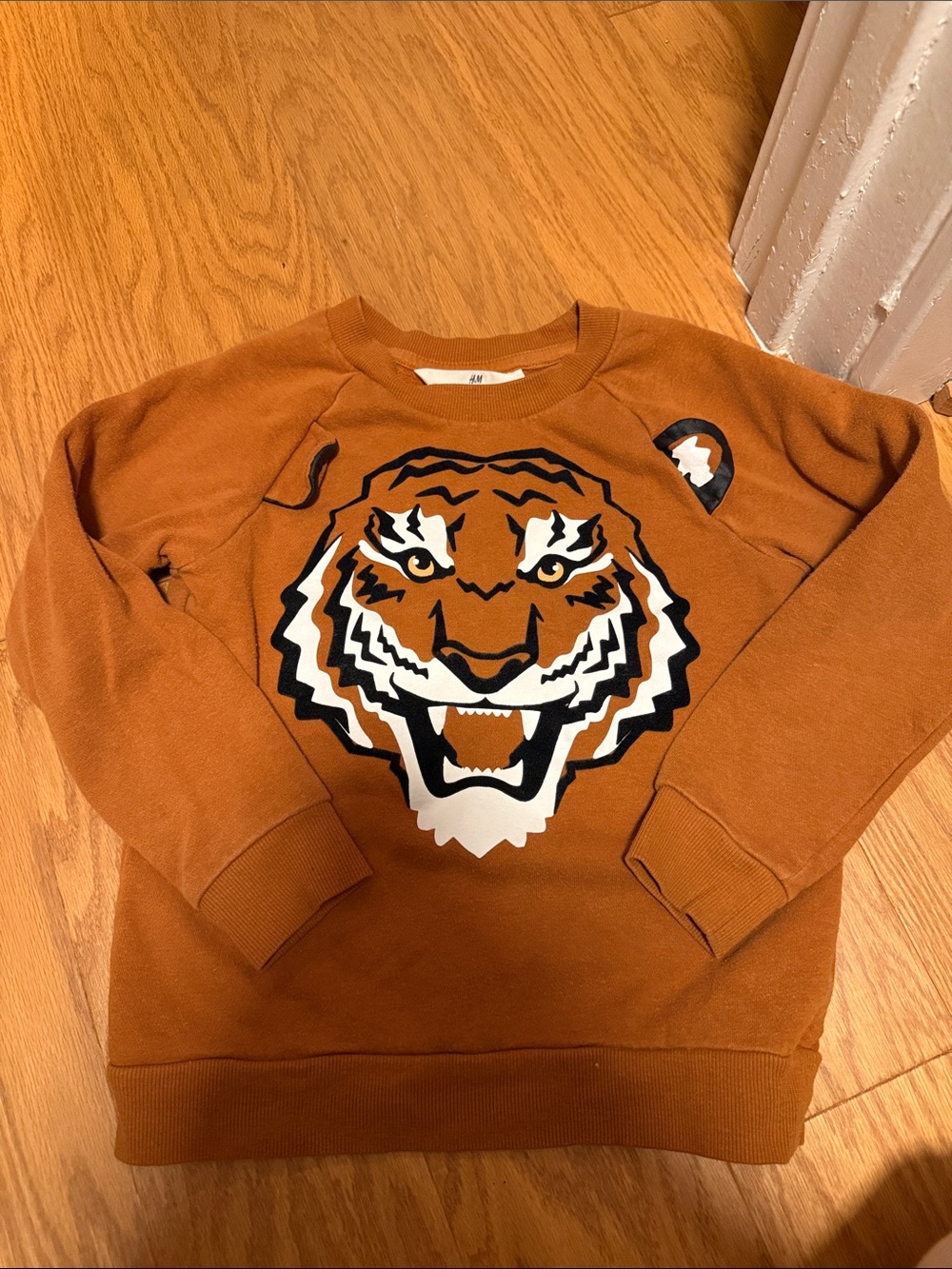 H&M Boy’s Burnt Orange Crewneck Sweatshirt with Tiger Face Graphic